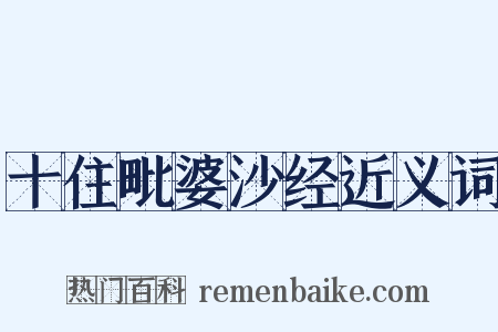 十住毗婆沙经近义词是什么意思的图片